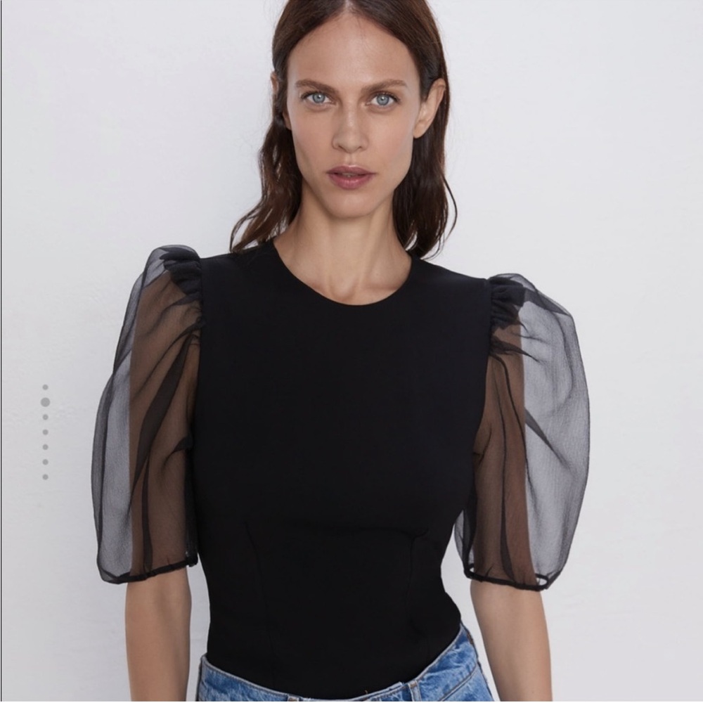 Zara Organza Sleeve Top NWT Size Small